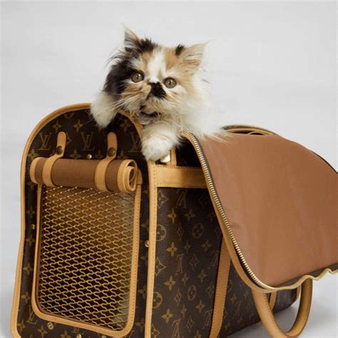 replica louis vuitton dog carrier 50|vintage louis vuitton pet carrier.